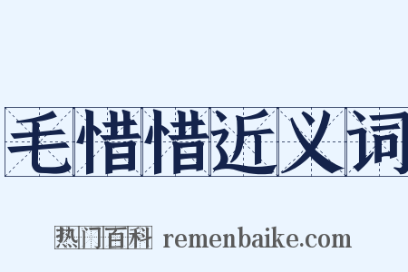 毛惜惜近义词是什么意思的图片